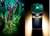 Bvlgari Le Gemme Perfume Collection for Men