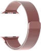 Apple Watch Band 42/44/45 Magnetic Stainless Steel Strap