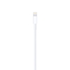 Apple Lightning To Usb Cable (1m )